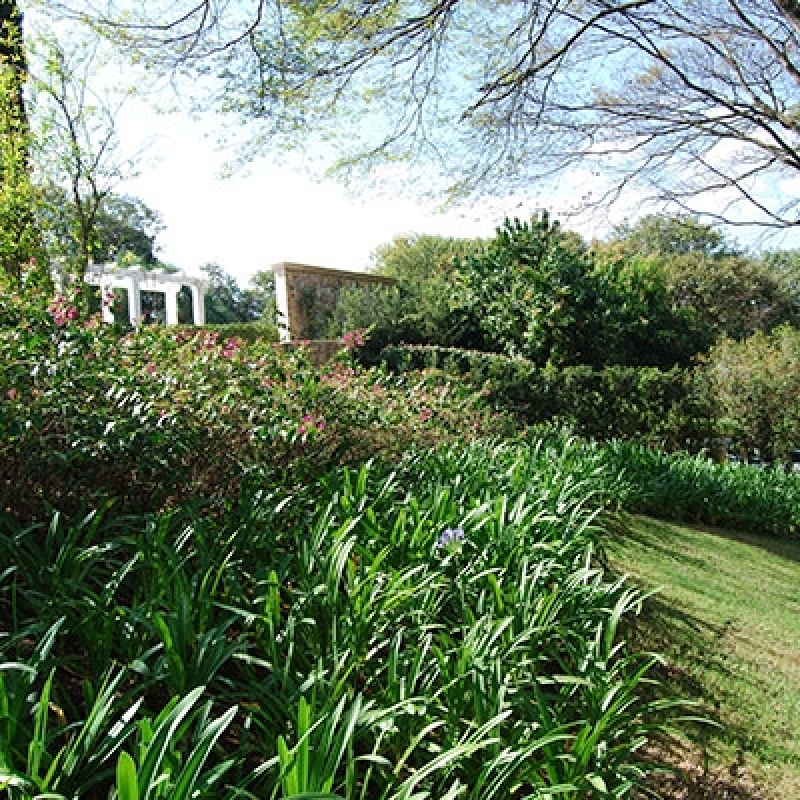 Contração de Paisagismo em Quintal Grande Jardim Iguatemi - Paisagismo para Quintal com Piscina