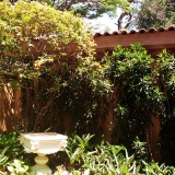 manutenção de jardim Vila Medeiros