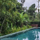 paisagismo de jardim com piscina Pacaembu