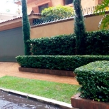 paisagismo jardim frontal Jardim Iguatemi