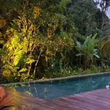 preciso de paisagismo de jardim com piscina Alto da Boa Vista