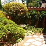 preço de manutenção de jardim residencial Vila Sônia
