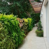 preço de manutenção de jardim vertical Vila Albertina
